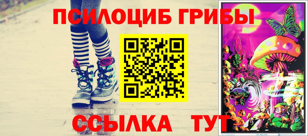 Кинель  Псилоцибиновые грибы мицелий  Вход с VPN 