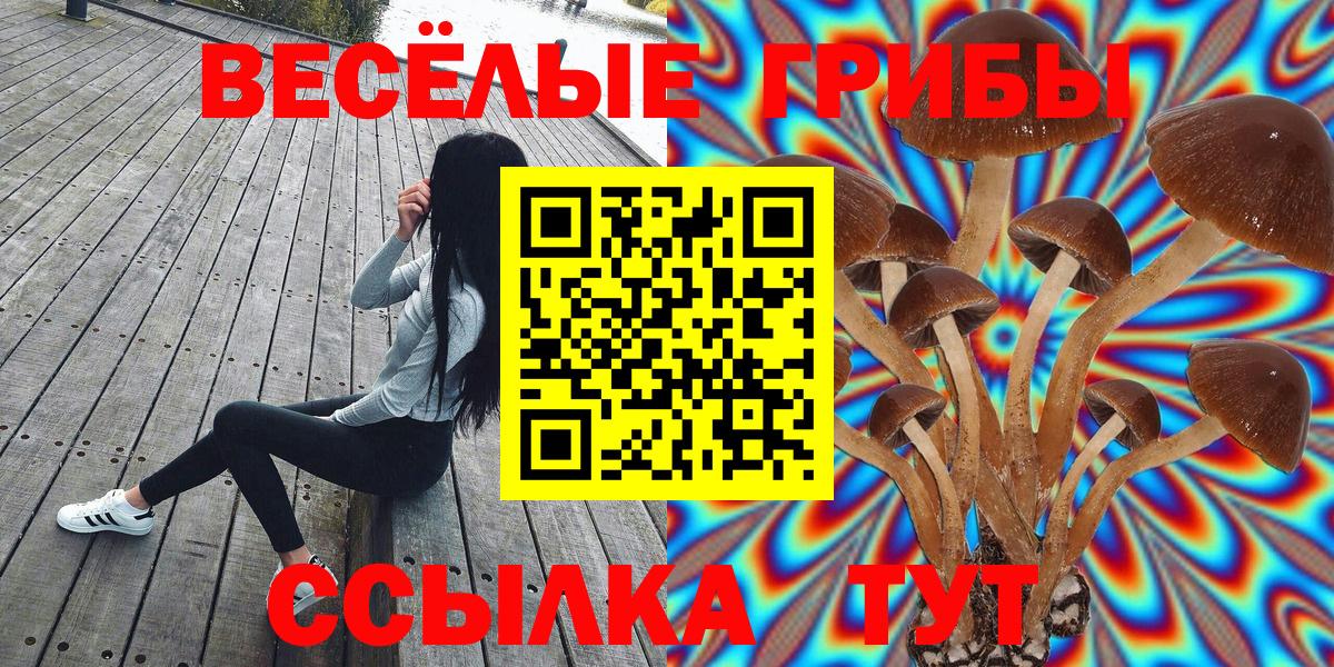 Псилоцибиновые грибы ЛСД Кинель